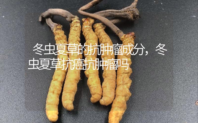 冬蟲夏草的抗腫瘤成分，冬蟲夏草抗癌抗腫瘤嗎？