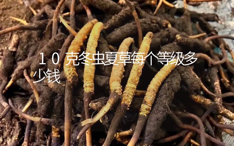 10克冬蟲夏草每個(gè)等級(jí)多少錢？